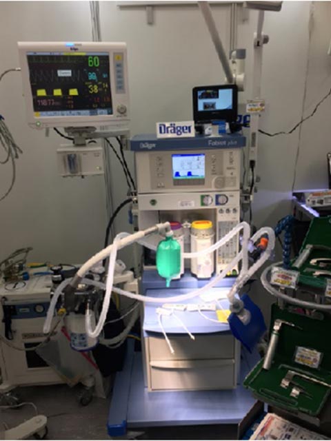 日本獣医麻酔外科学会 | 動物医療機器、動物病院の開業なら